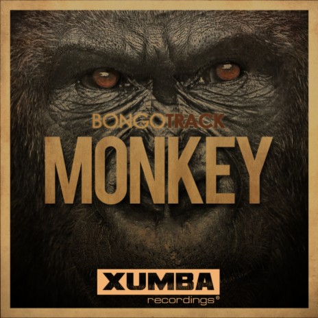 Monkey (Original Mix) | Boomplay Music
