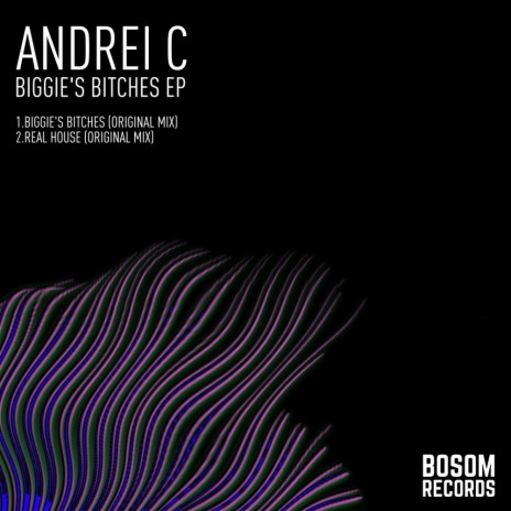 Biggie's Bitches (Original Mix)