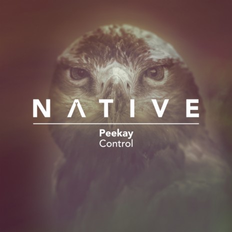 Control (Nick Reverse Remix)