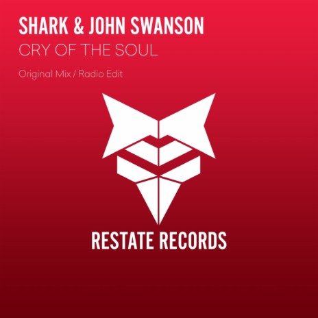 Cry Of The Soul (Original Mix) ft. John Swanson | Boomplay Music
