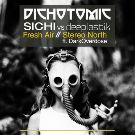 Stereo Norh (Original Mix) ft. Deeplastik & DarkOverdose | Boomplay Music