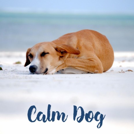 Relax Your Dog | Boomplay Music
