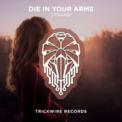 Die In Your Arms | Boomplay Music