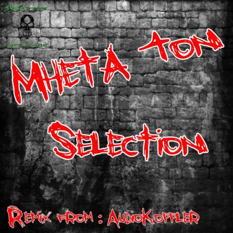 Selection (AudioKoppler Remix)