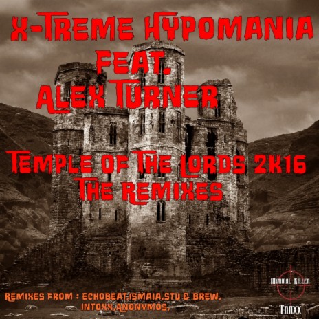 Temple Of The Lords 2K16 (Anonymos Remix) ft. Alex Turner | Boomplay Music