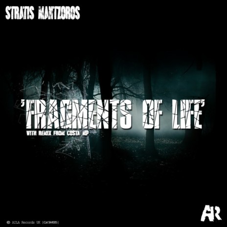 Fragments Of Life (Costa Mp Remix) | Boomplay Music