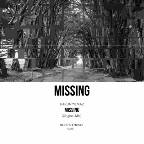 Missing (Original Mix)