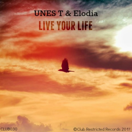 Live Your Life (Original Mix) ft. Elodia | Boomplay Music
