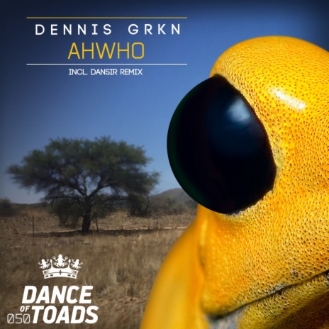 AHWHO (Dansir Remix) | Boomplay Music