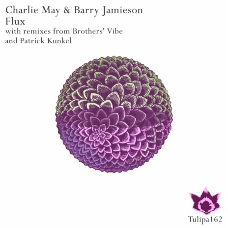 Flux (Patrick Kunkel Remix) ft. Barry Jamieson