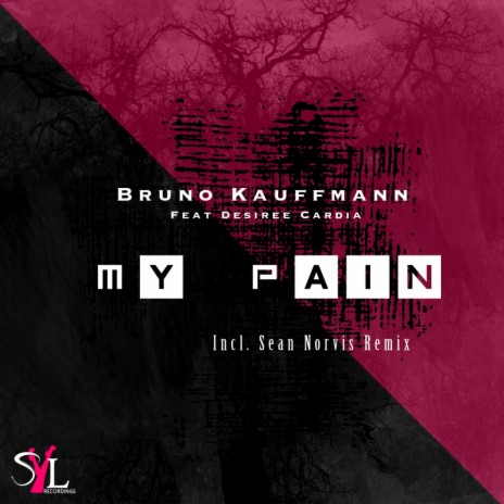 My Pain (Radio Edit) ft. Desiree Cardia