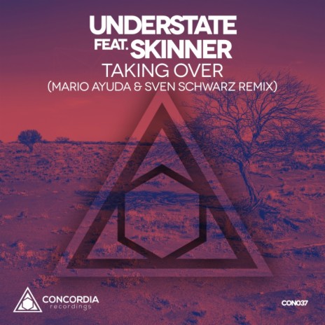 Taking Over (Mario Ayuda & Sven Schwarz Extended Mix) ft. Skinner | Boomplay Music