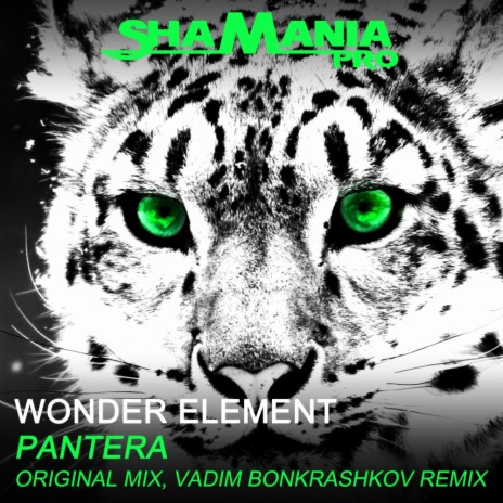 Pantera (Vadim Bonkrashkov Remix) | Boomplay Music