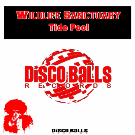 Tide Pool (Original Mix) | Boomplay Music