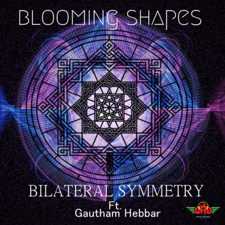 Bilateral Symmetry (Original Mix) ft. Gautham Hebbar | Boomplay Music