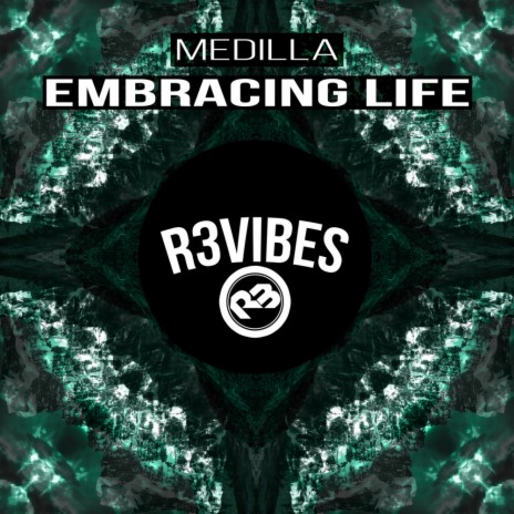 Embracing Life (Original Mix) | Boomplay Music