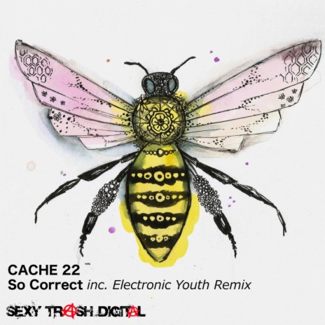 So Correct (Electronic Youth Remix) | Boomplay Music