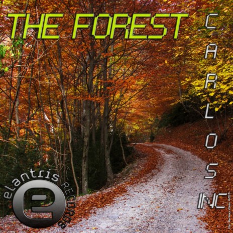 The Forest (Original Mix)