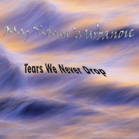 Tears We Never Drop (Original Mix)