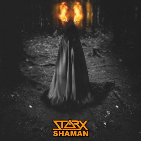 Shaman (Original Mix) | Boomplay Music