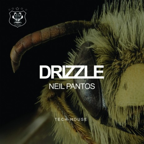 Drizzle (Original Mix) | Boomplay Music