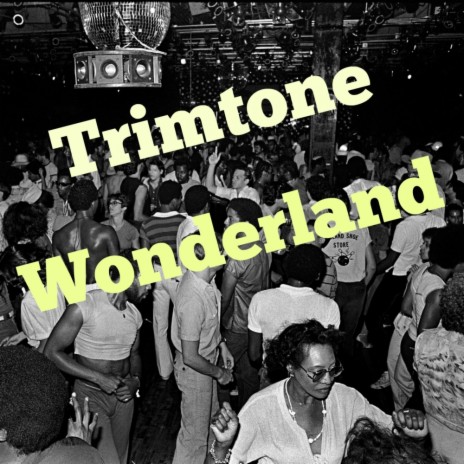 Wonderland (Trimone at The Disco Mix) | Boomplay Music