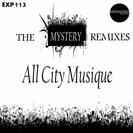 Mystery (DJ Mulu Remix) ft. Precious (FR)