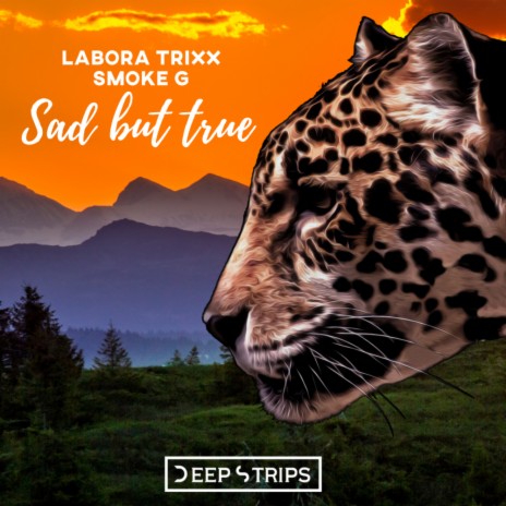 Sad But True (Original Mix) ft. Labora Trixx | Boomplay Music