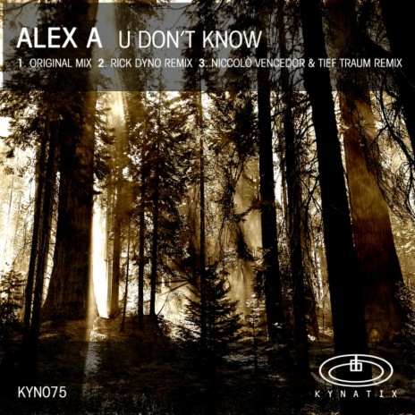 U Don't Know (Original Mix) | Boomplay Music