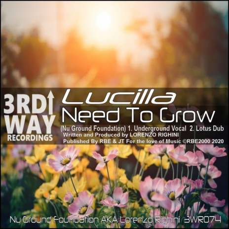 Need To Grow (Nu Ground Foundation Underground Vocal) | Boomplay Music