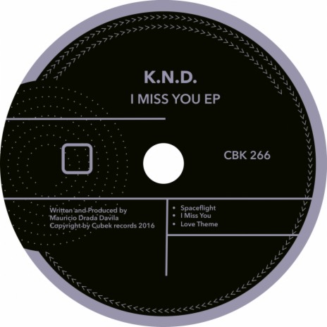 I Miss You (Original Mix)