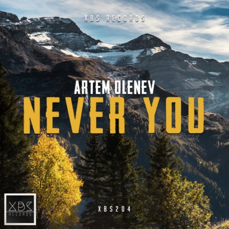 Never You (Original Mix)