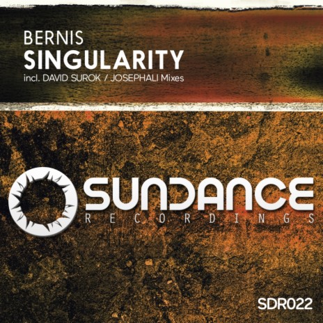 Singularity (David Surok Remix) | Boomplay Music