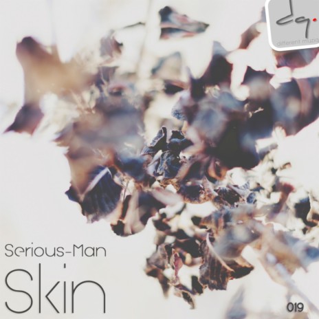 Skin (Extended Mix) | Boomplay Music