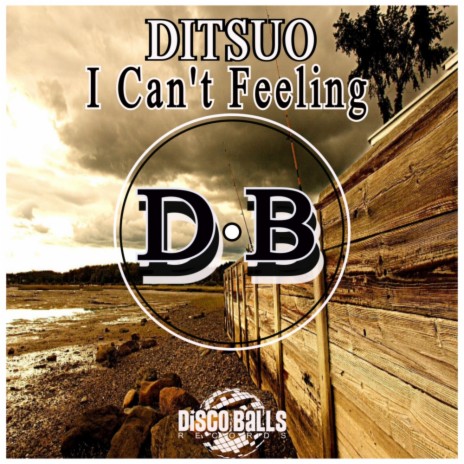 I Can't Feeling (Original Mix) | Boomplay Music