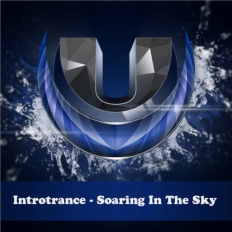 Soaring In The Sky (Original Mix)