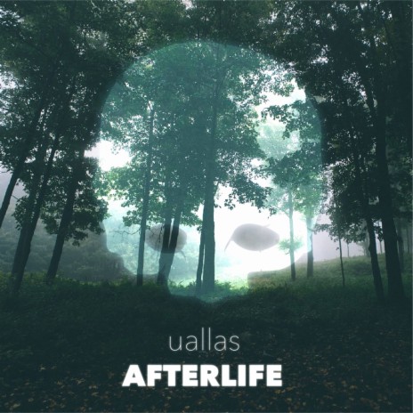 Afterlife (Original Mix) | Boomplay Music