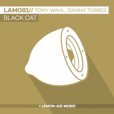 Black Cat (Original Mix) ft. Danny Torres