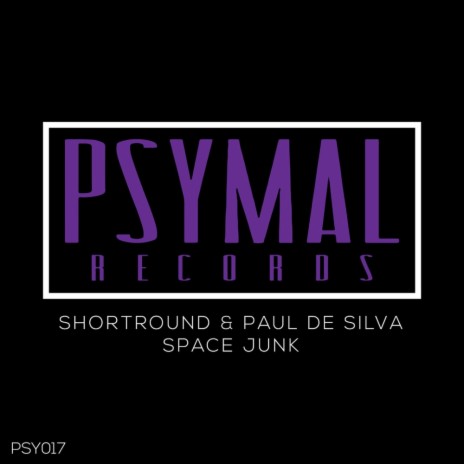 Space Junk (Original Mix) ft. Paul De Silva | Boomplay Music