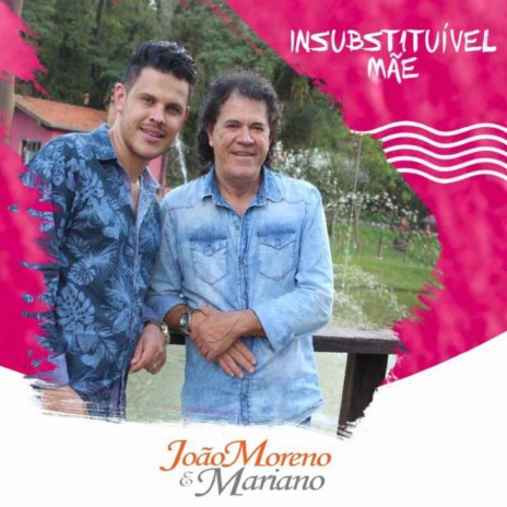 Insubstituível Mãe | Boomplay Music