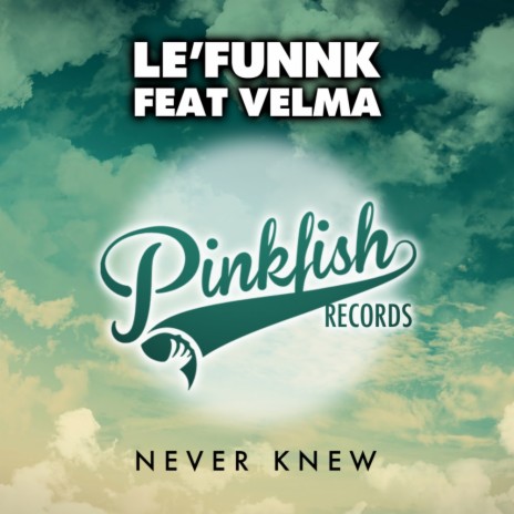 Never Knew (Pal Hamel Remix) ft. Velma