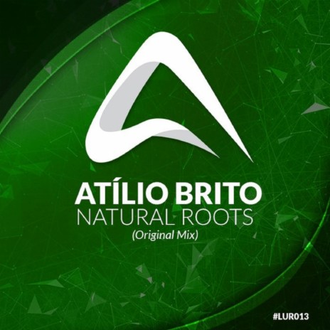 Natural Roots (Original Mix) | Boomplay Music