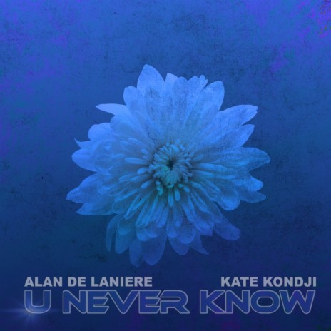 U Never Know (Afro Carrib Mix) ft. Kate Kondji | Boomplay Music