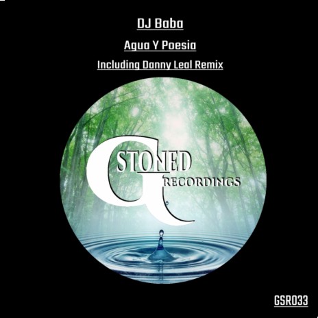 Agua Y Poesia (Danny Leal Remix) | Boomplay Music