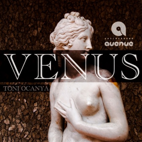Venus (Original Mix) | Boomplay Music