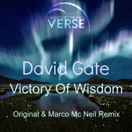 Victory Of Wisdom (Marco Mc Neil Remix) | Boomplay Music