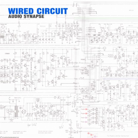 Wired Circuit (Original Mix) | Boomplay Music