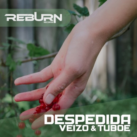 Despedida (Original Mix) ft. Tuboe | Boomplay Music