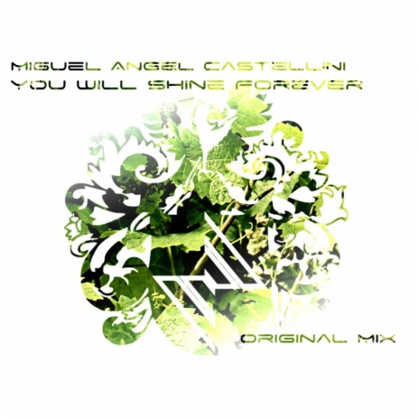 You Will Shine Forever (Original Mix)