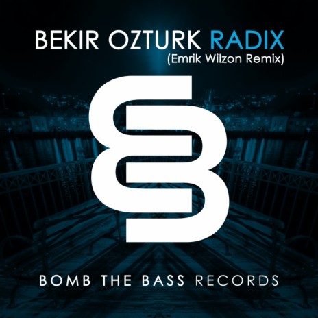 Radix (Emrik Wilzon Remix) | Boomplay Music